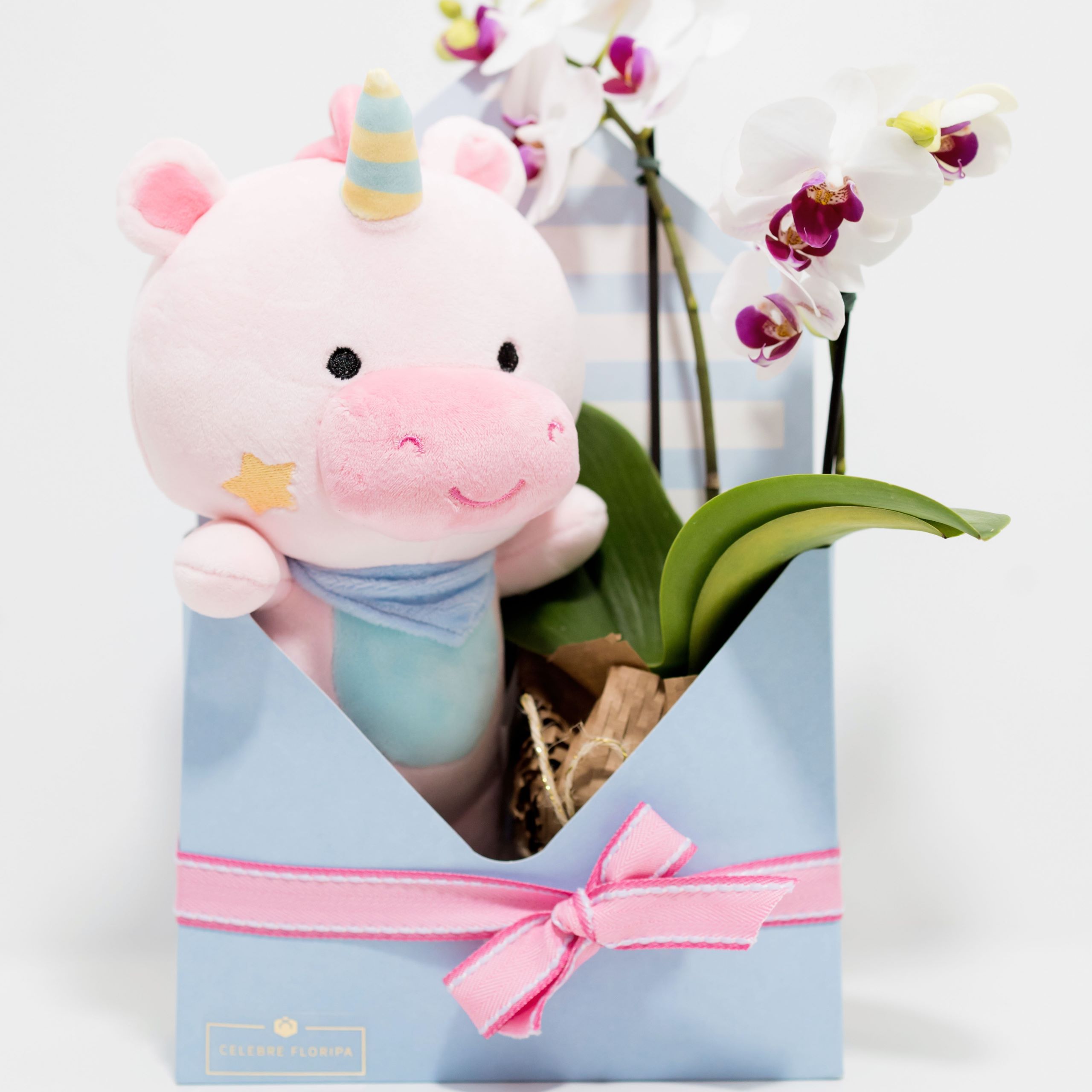 Cesta de Boas-Vindas Encanto de Maternidade