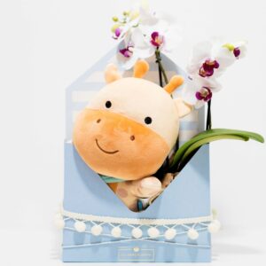 Cesta de Boas-Vindas Mágicas