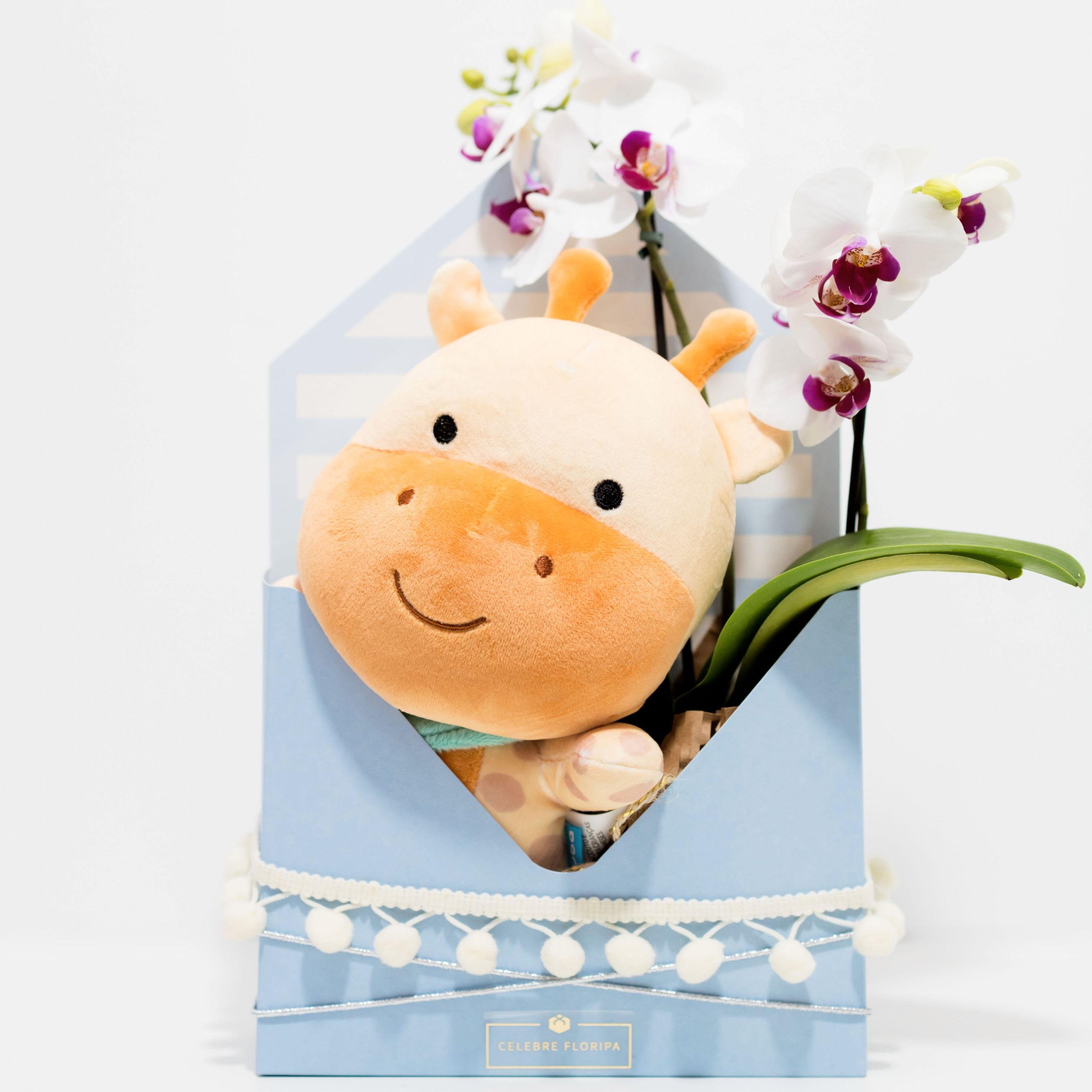 Cesta de Boas-Vindas Mágicas