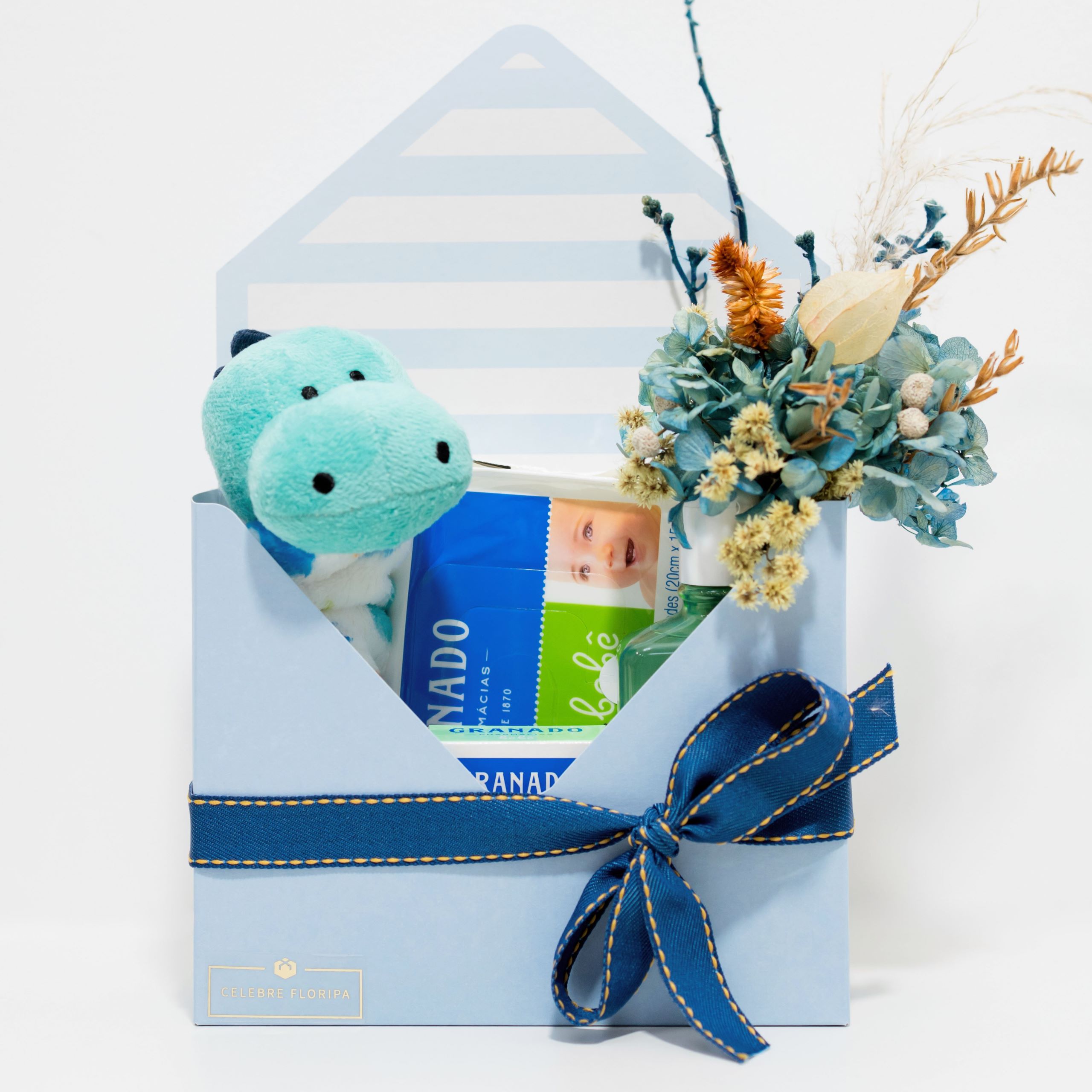 Primeiros Carinhos – Versão Menino - Imagem 2